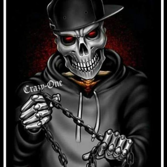 Meet your Posher, Bradley - Picture 1 of 1